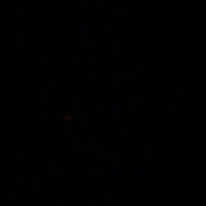 Meet your Posher, Simone